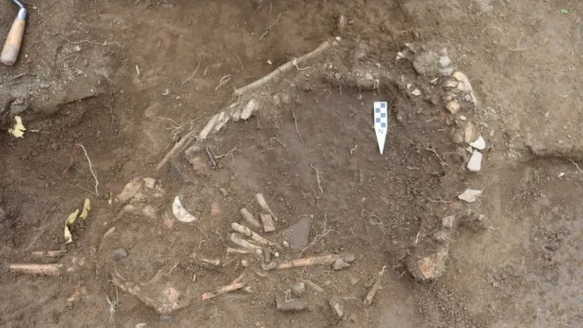 1,200-Year-Old Pregnant Woman’s Sacrifice Unearthed in Ecuador’s Manteño Period Burial