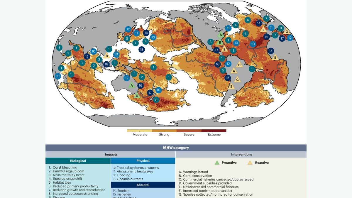 Scientists Warn of Alarming Rise in Marine Heat Waves and Its Impact on Oceans