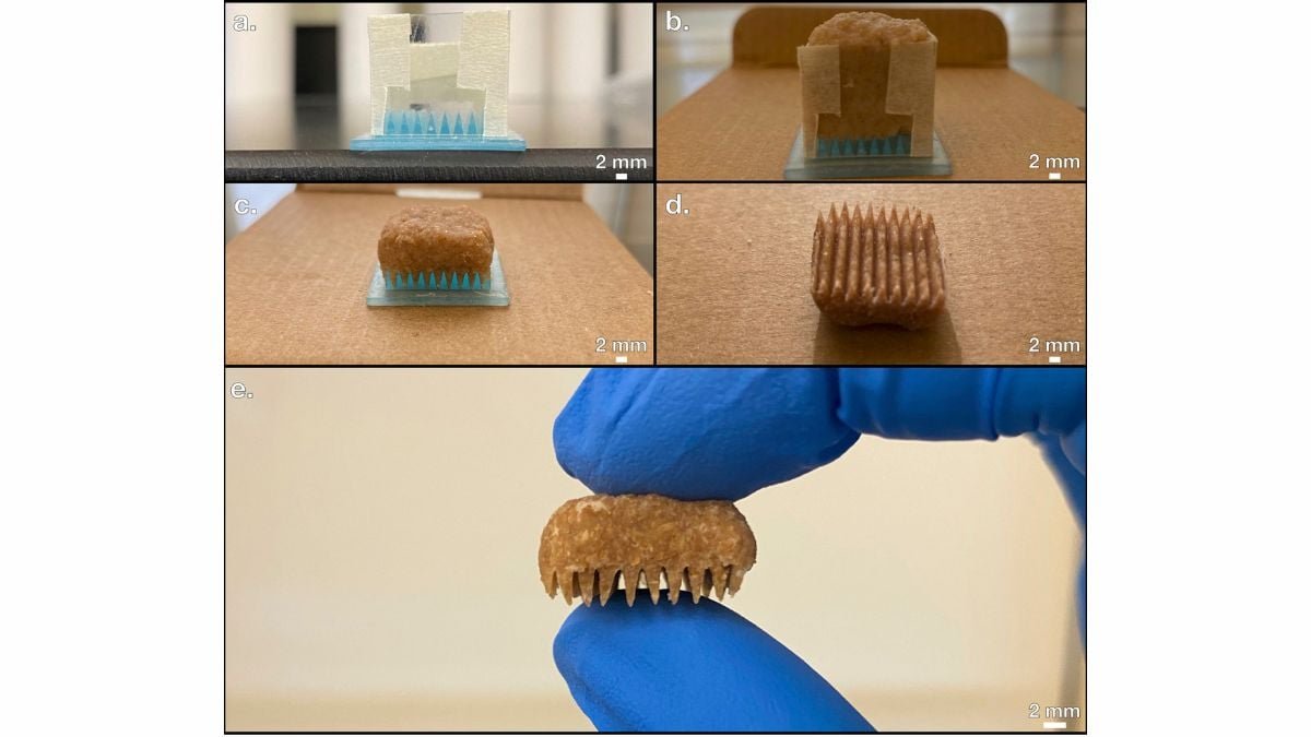 Engineers Create New Ways to Shape Bread-Derived Carbon Electrodes for Sustainable Use