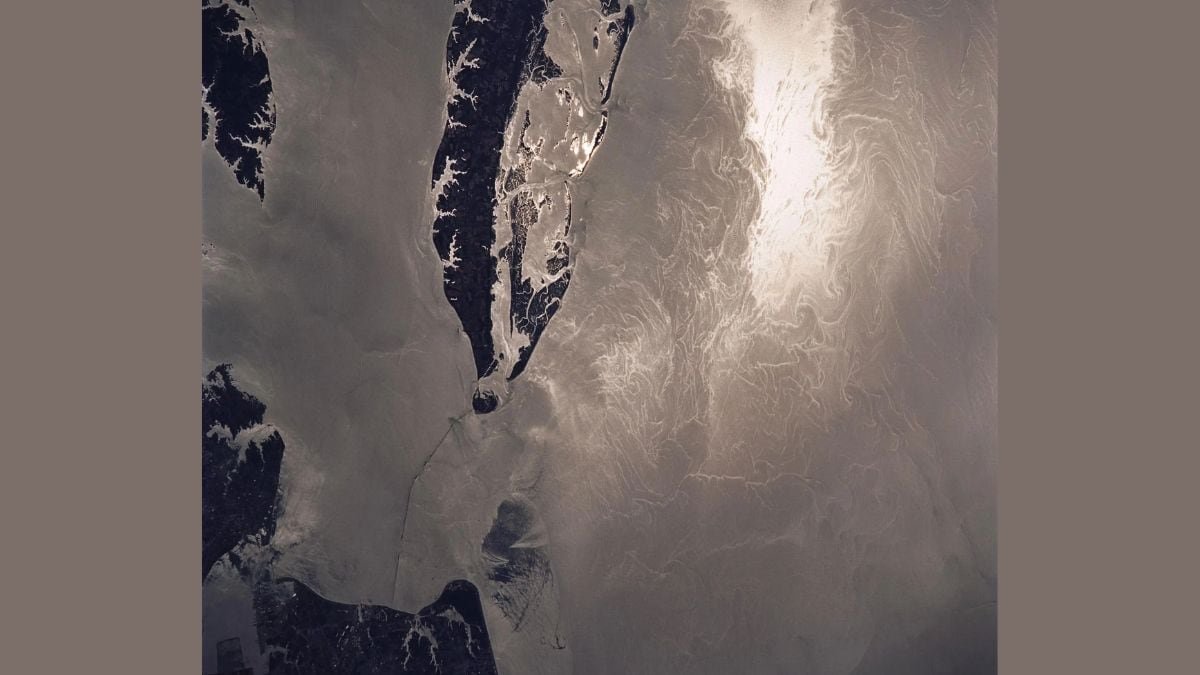 NASA’s SWOT Satellite Reveals Big Impact of Small Ocean Currents and Waves in n Marine Ecosystems